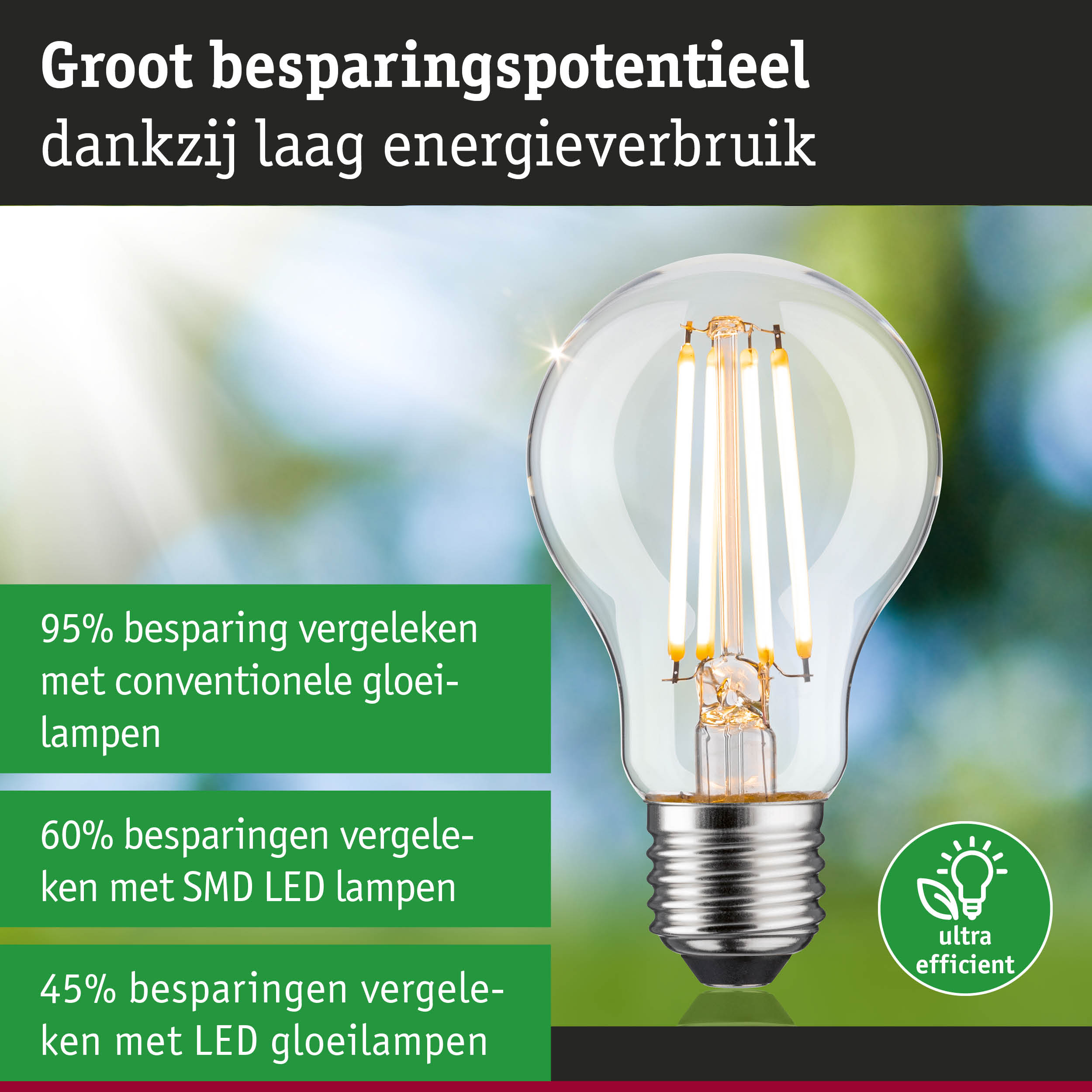 Energiezuinige LED-gloeilamp met helder glas en zilveren fitting voor milieuvriendelijke verlichting