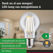 Transparante LED-lamp met warm wit licht en ultra-efficiënte energiebesparende technologie in bosrijke omgeving