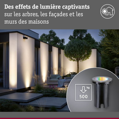 Éclairage extérieur LED moderne mettant en valeur la façade de la maison et les arbres du jardin au crépuscule