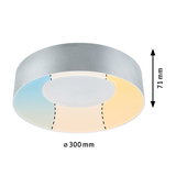 Runde LED-Deckenleuchte aus silbernem Metall mit 300 mm Durchmesser und 71 mm Höhe, dimmbar