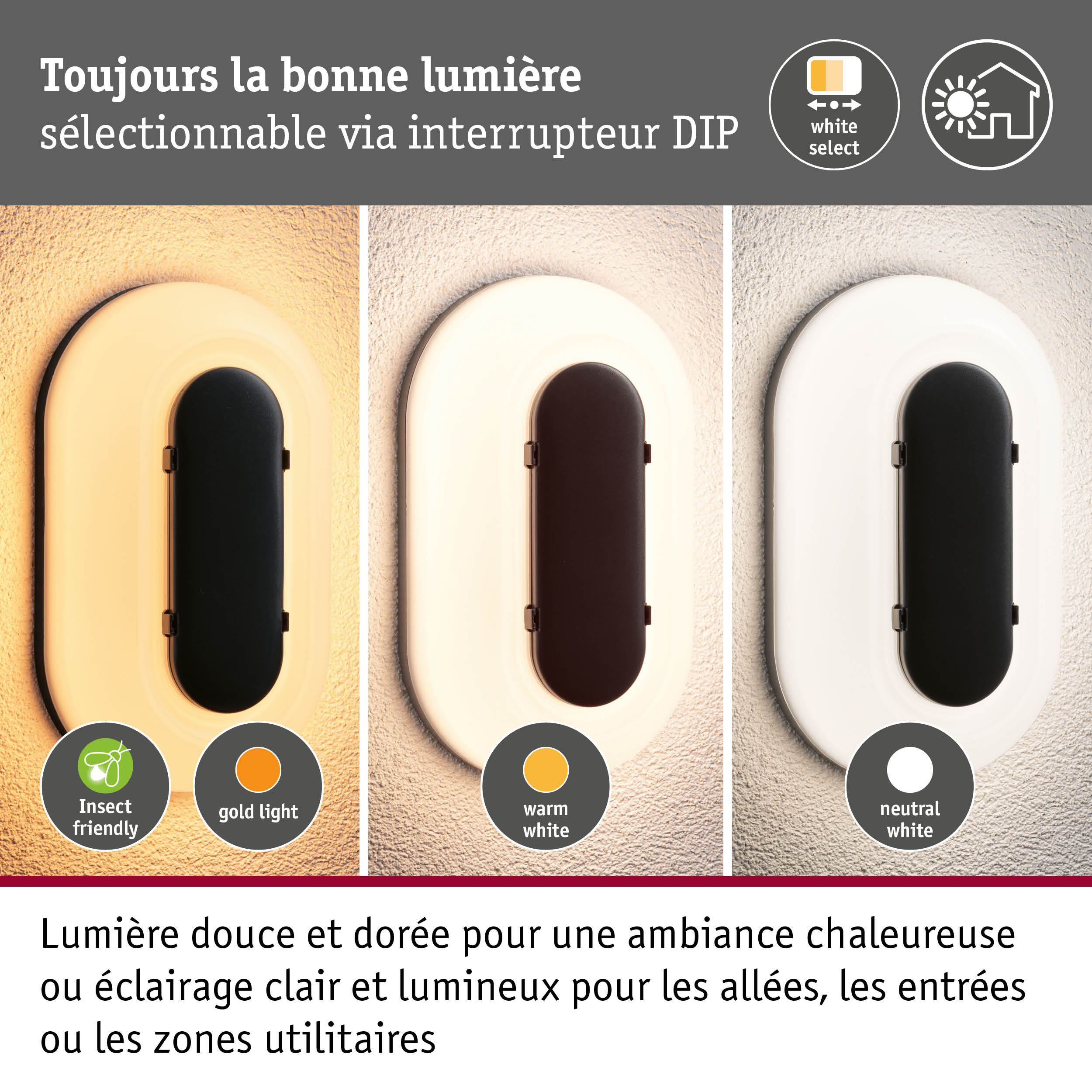 Applique d'extérieur LED Elunor IP65 allongée 122x212mm 2200 - 4000K 18,5W 1460lm 230V Anthracite/Blanc Polycarbonate