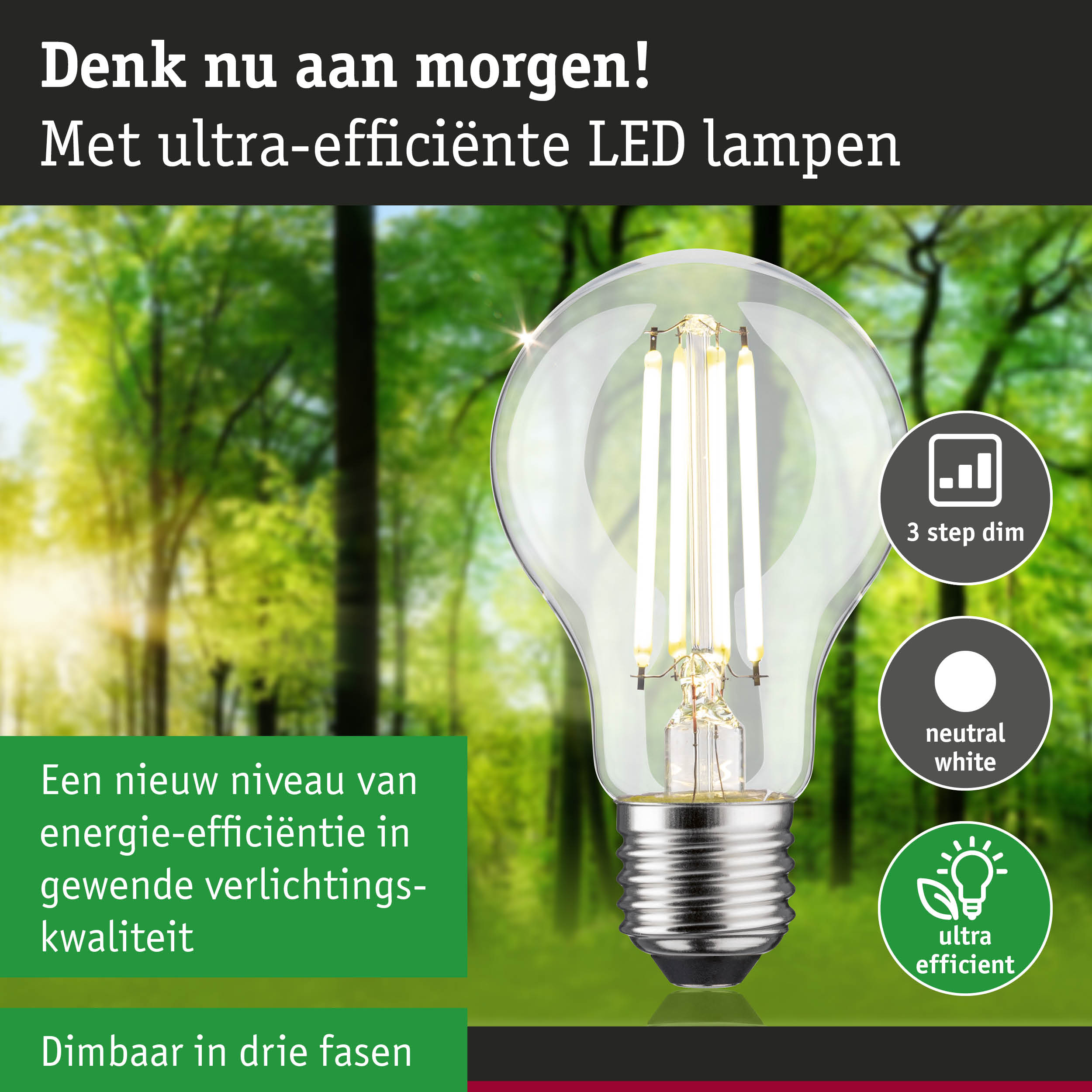 Transparante LED-lamp met E27-fitting en neutraal wit licht, energiezuinige dimbare lamp