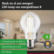 Transparante LED-lamp met E27-fitting en neutraal wit licht, energiezuinige dimbare lamp