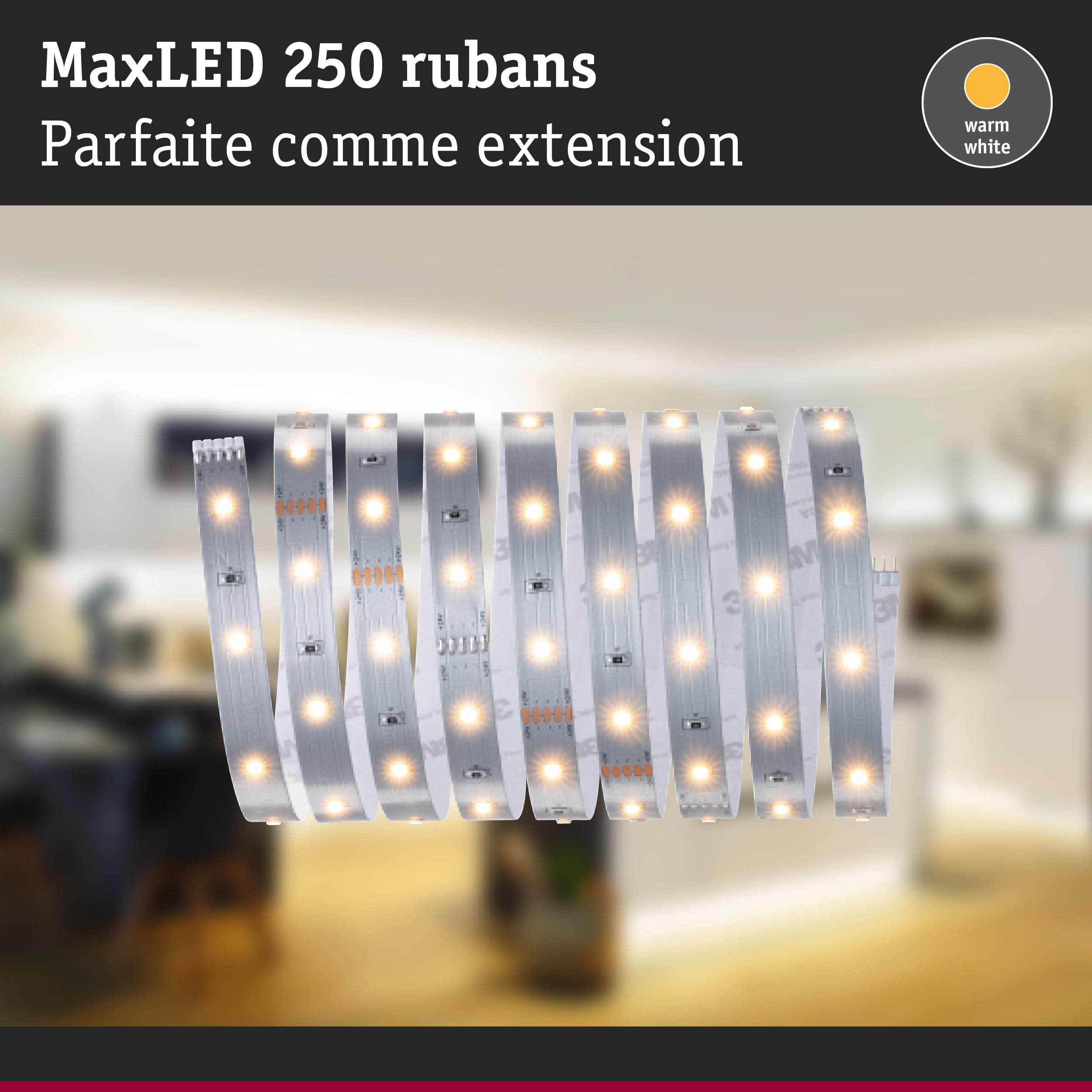 Bande LED MaxLED 250 en blanc chaud, éclairage flexible pour intérieur et décoration