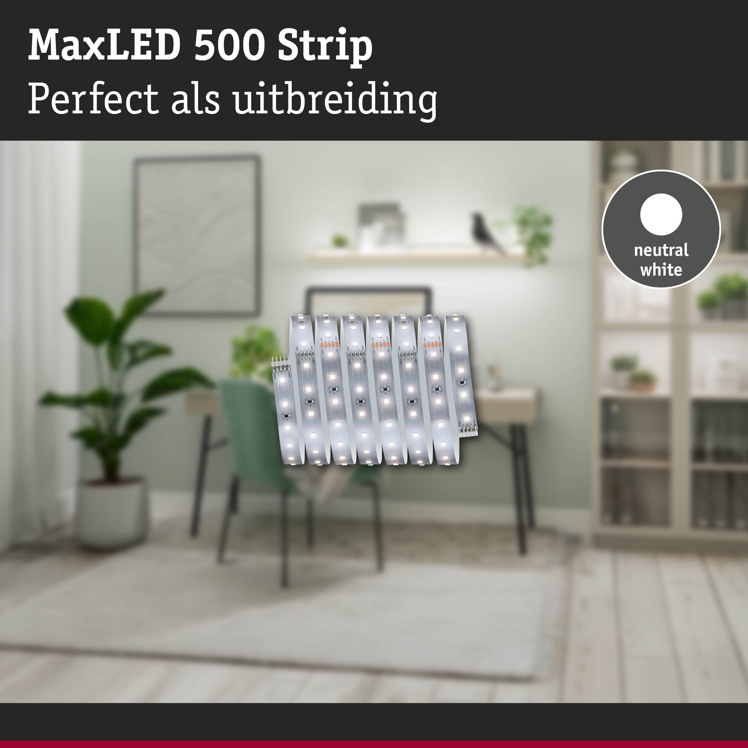 MaxLED 500 Strip uitbreiding in neutraal wit voor flexibele LED-verlichting in huis