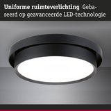 Ronde zwarte LED-plafondlamp met witte diffuser voor uniforme ruimteverlichting