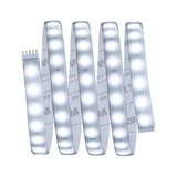 Flexible LED strip light with white LEDs and adhesive backing for versatile lighting solutions.