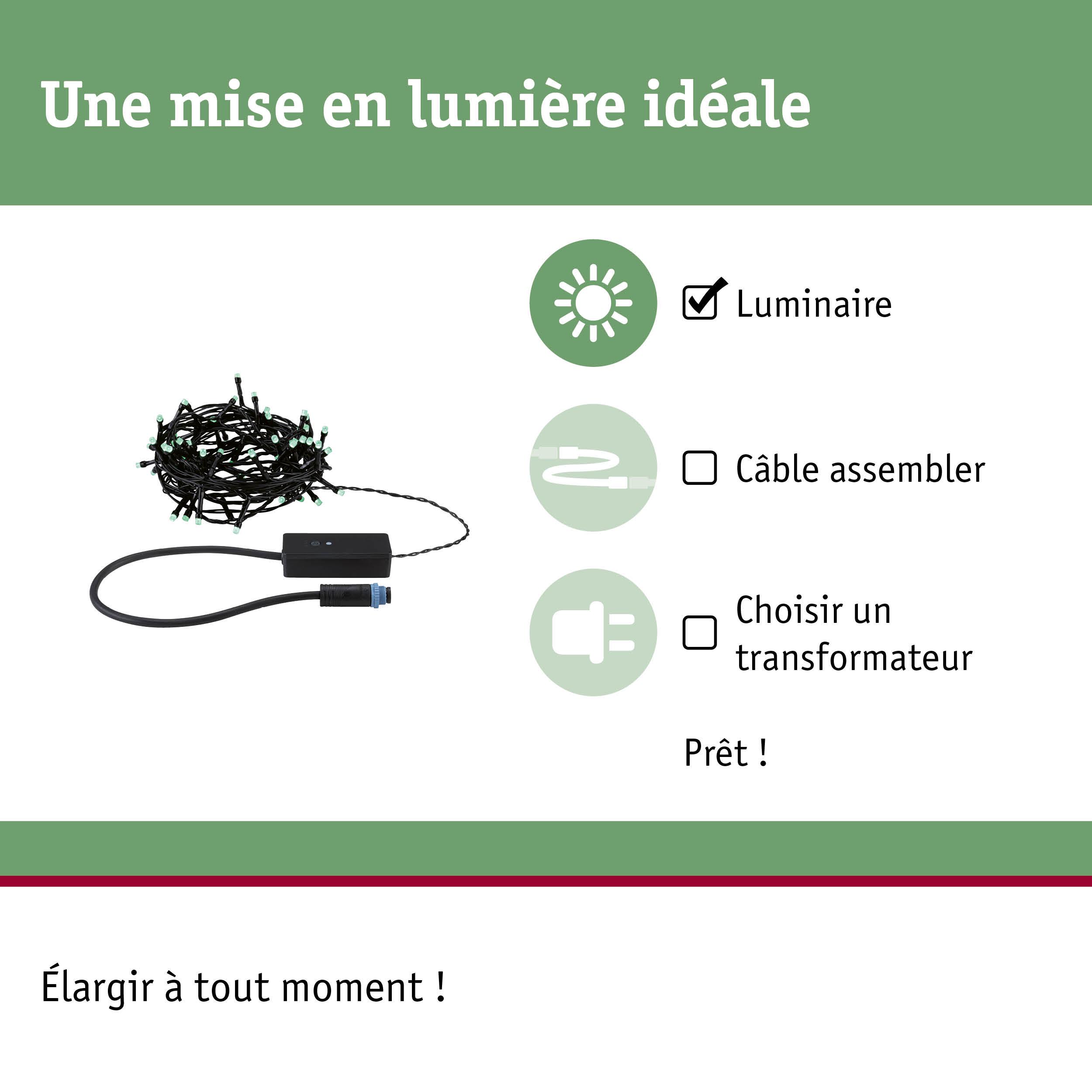 Guirlande LED noire avec boîtier de contrôle, idéale pour l'éclairage et installation simple.