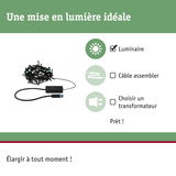 Guirlande LED noire avec boîtier de contrôle, idéale pour l'éclairage et installation simple.