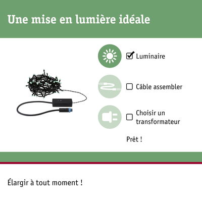 Guirlande LED noire avec boîtier de contrôle, idéale pour l'éclairage et installation simple.