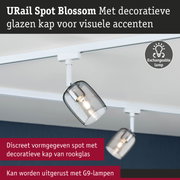 URail Spot Blossom met decoratieve kap van rookglas en verwisselbare lamp voor moderne verlichting
