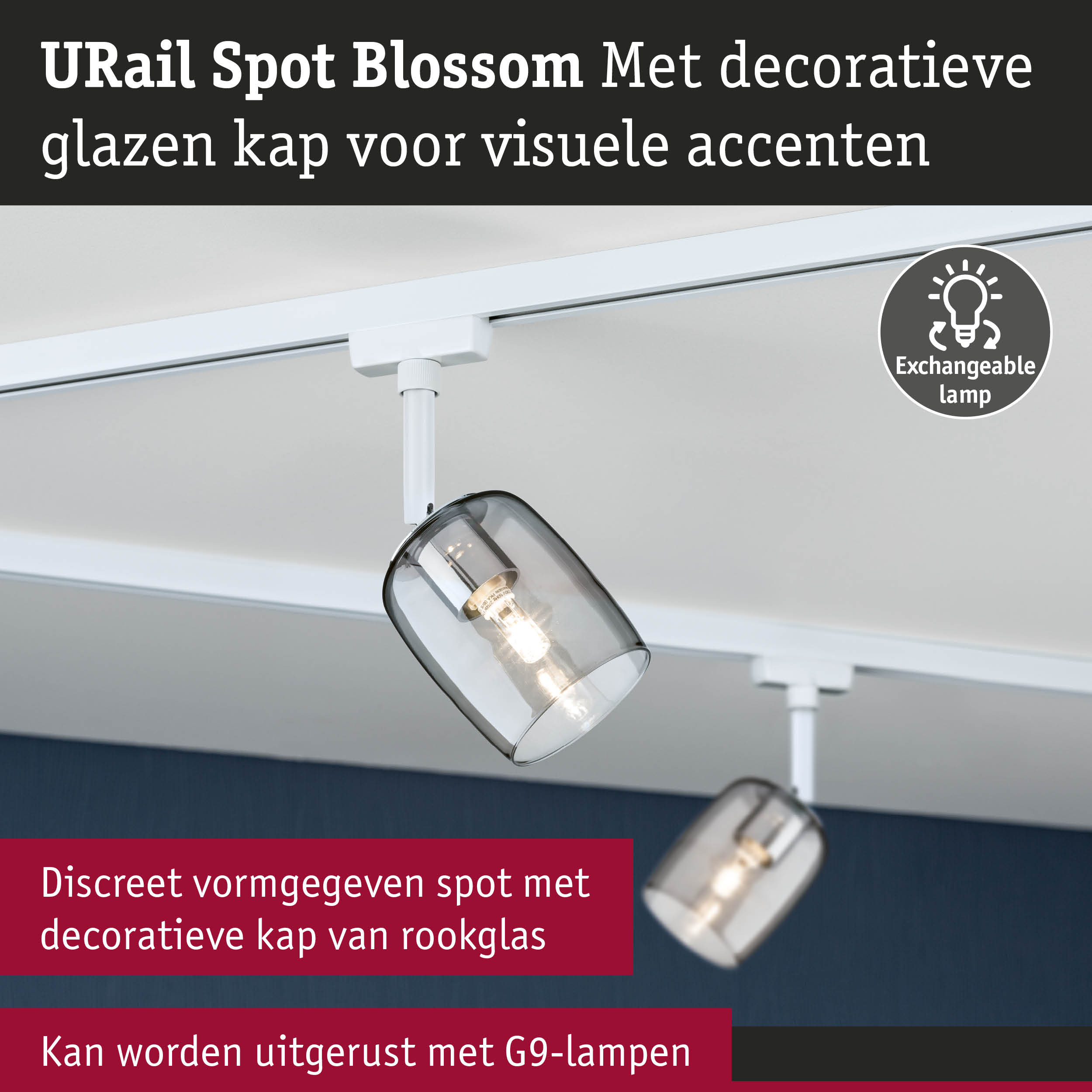 URail Spot Blossom met decoratieve kap van rookglas en verwisselbare lamp voor moderne verlichting
