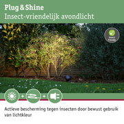 Tuin met insectvriendelijke buitenverlichting en groene planten bij avondlicht