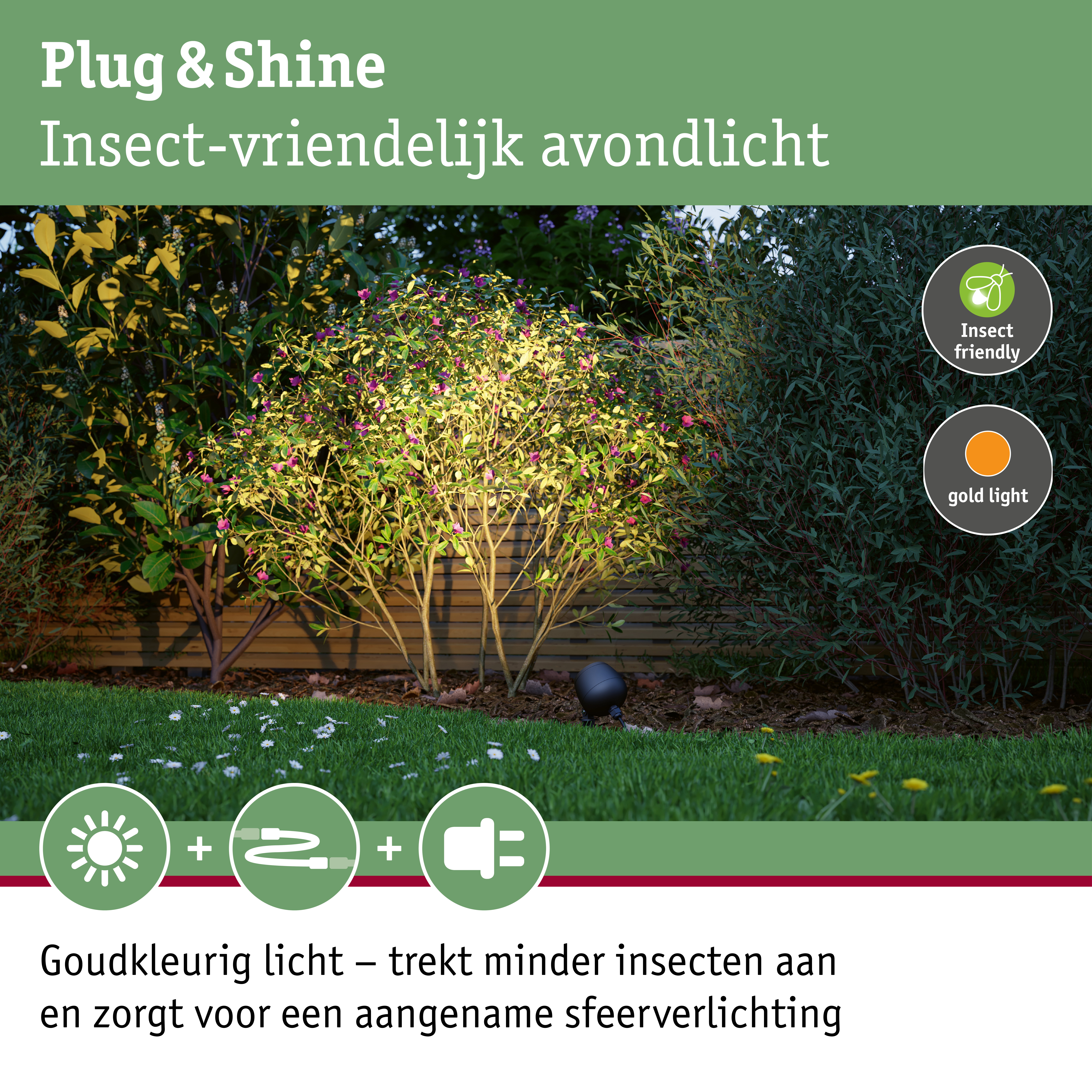 Tuin met insectvriendelijke buitenverlichting en groene planten bij avondlicht