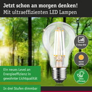 Klarer LED-Leuchtmittel mit warmweißem Licht und hoher Energieeffizienz, dimmbar in drei Stufen