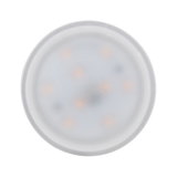 Round LED light bulb with frosted plastic housing and warm white LEDs for energy-efficient lighting