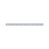 Long LED light strip with warm white LEDs in transparent casing for modern lighting solutions
