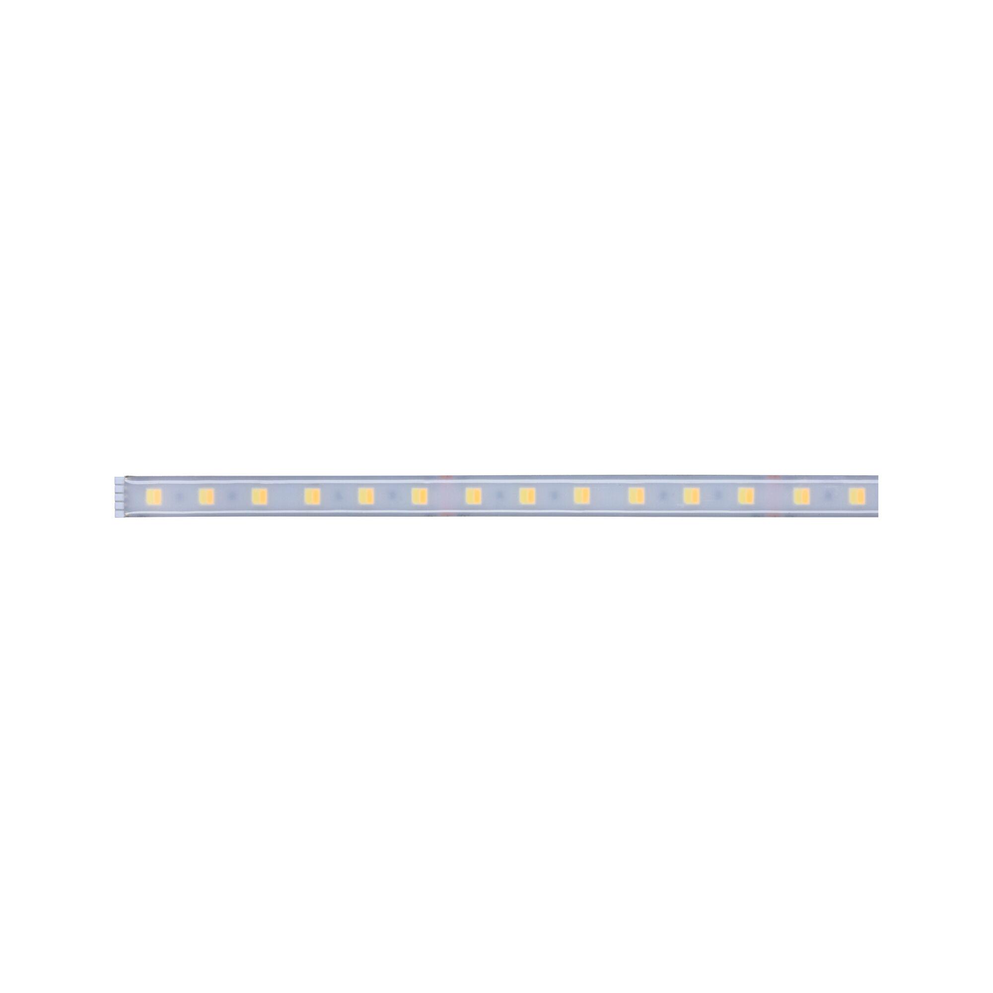Long LED light strip with warm white LEDs in transparent casing for modern lighting solutions