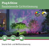 Außenbeleuchtung mit RGBW LED-Strahlern in Grün und Pink für smarte Farb- und Weißtonsteuerung