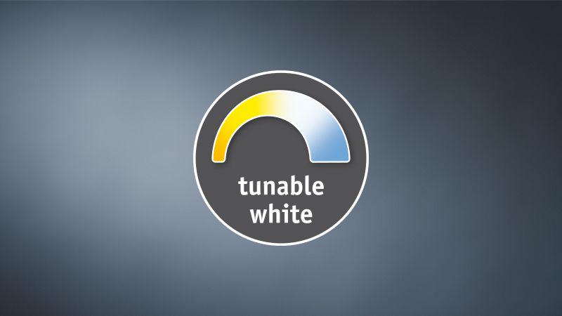Icon showing tunable white light with adjustable color temperature from warm to cool for LED lighting