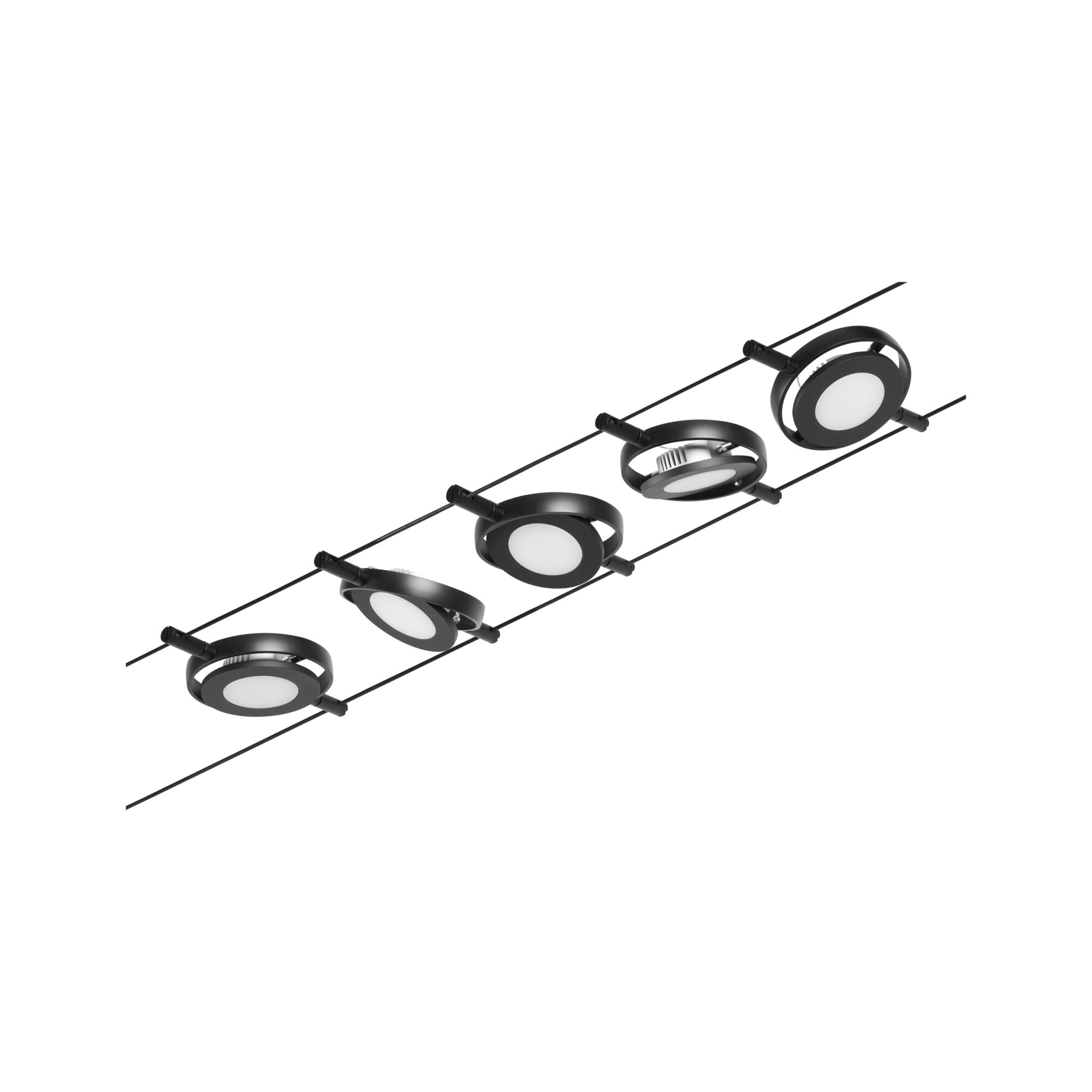 Spots LED noirs sur câble avec diffuseur blanc rond pour solutions d'éclairage modernes