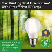 Energy-efficient LED lamp with warm white light shown against a green forest background