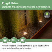 Spot LED encastré Plug & Shine avec lumière chaude respectueuse des insectes pour éclairage extérieur