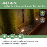 Spot LED encastré Plug & Shine avec lumière chaude respectueuse des insectes pour éclairage extérieur