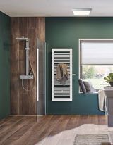 Modern bathroom with white towel radiator on green wall and wood tile floor, featuring shower area