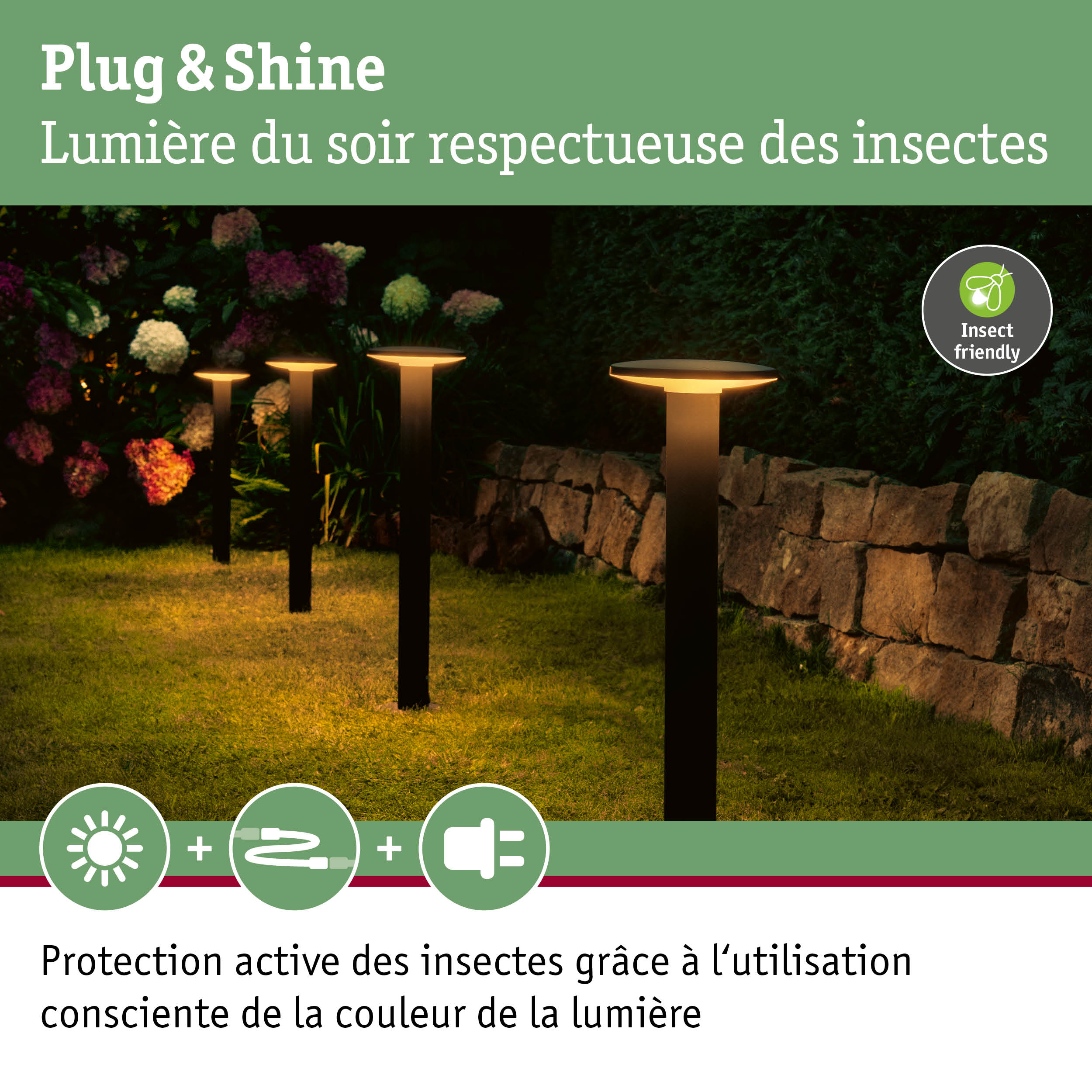 Lampes de jardin à lumière blanche chaude et design respectueux des insectes pour un éclairage extérieur durable
