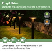Lampes de jardin à lumière blanche chaude et design respectueux des insectes pour un éclairage extérieur durable