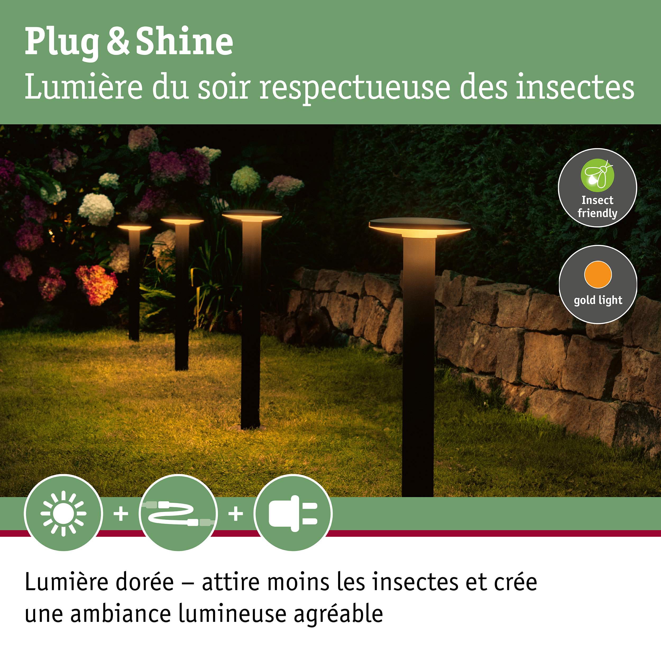 Lampes de jardin à lumière blanche chaude et design respectueux des insectes pour un éclairage extérieur durable