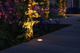 Chemin de jardin éclairé avec lampes LED encastrées au sol et plantes au crépuscule