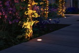 Illuminated garden path with recessed LED floor lights and plants at dusk for outdoor lighting
