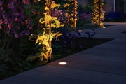 Illuminated garden path with recessed LED floor lights and plants at dusk for outdoor lighting