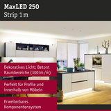 MaxLED 250 LED-Lichtstreifen 1 m in moderner Küche mit dekorativer Beleuchtung und Möbelakzent.