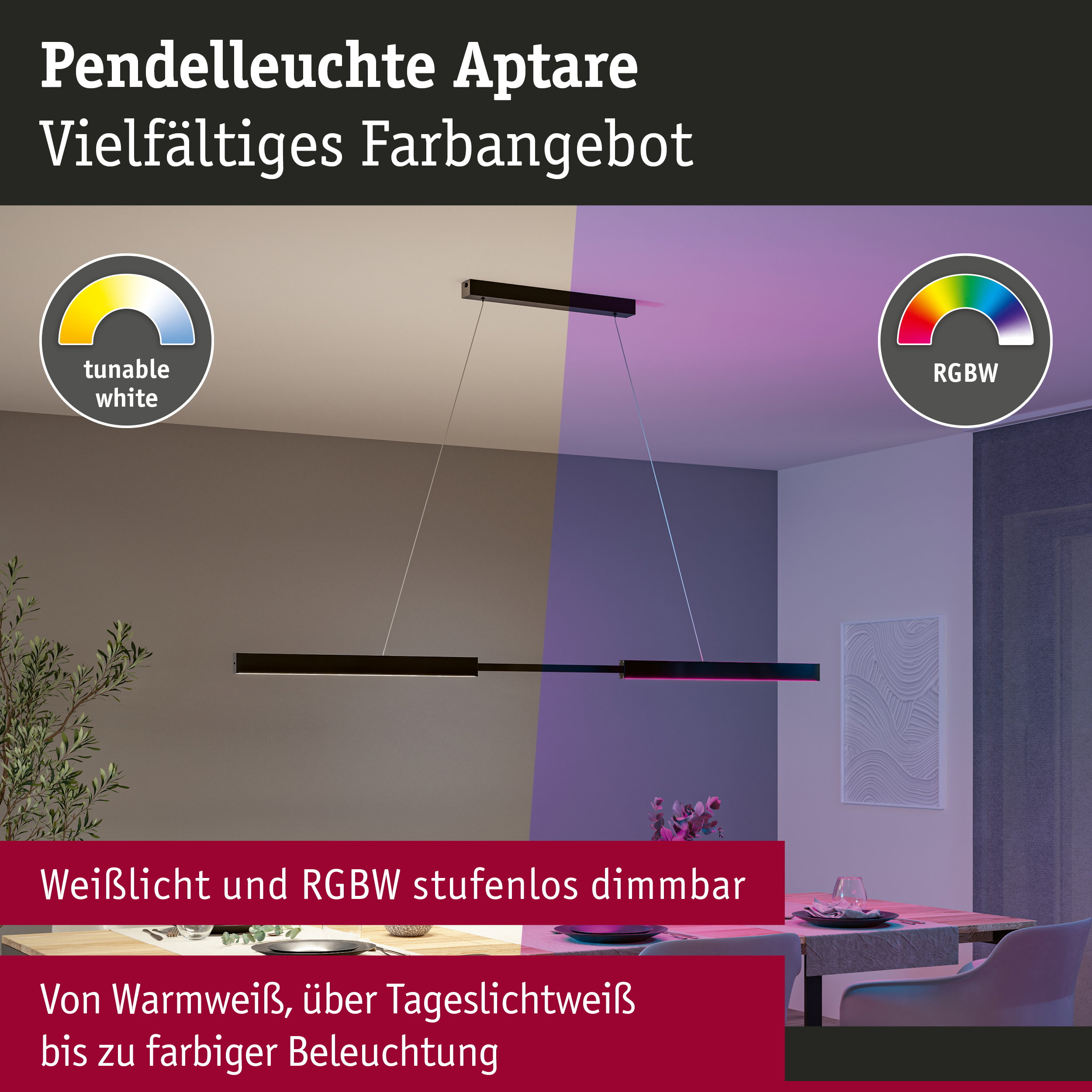 Pendelleuchte Aptare in Schwarz mit dimmbarer Weißlicht- und RGBW-Farbsteuerung für Esszimmerbeleuchtung