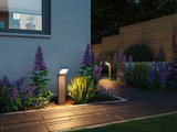 Moderne antracitfarvet LED-sti lys i metal oplyser havegang med farverige blomster ved skumring