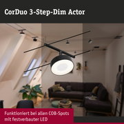 Schwarze CorDuo 3-Stufen-Dimmaktor LED-Leuchte in modernem Wohnzimmer mit Couch und Pflanzen