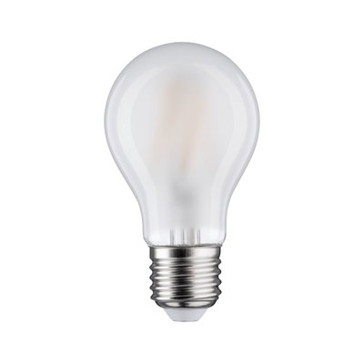 Ampoule classique en verre dépoli avec culot E27 en métal pour éclairage économique