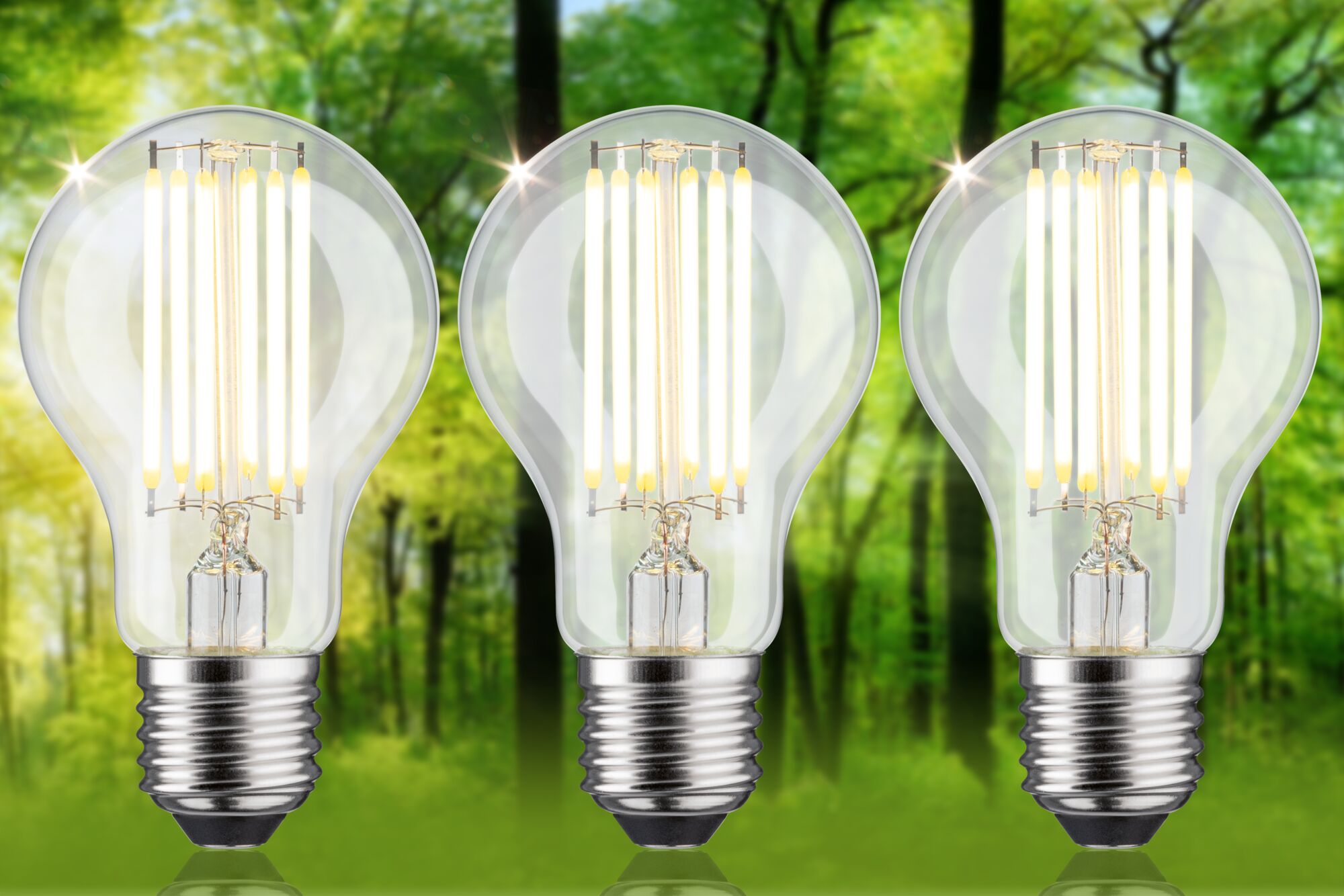 Drie LED-gloeilampen met helder glas en warm wit licht voor een groene bosachtergrond