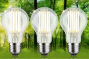 Drei LED-Glühbirnen mit klarem Glas und silbernem Sockel vor grünem Waldhintergrund für energiesparende Beleuchtung