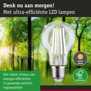 Transparante LED-lamp met warm wit licht en ultra-efficiënte technologie tegen groene bosachtergrond