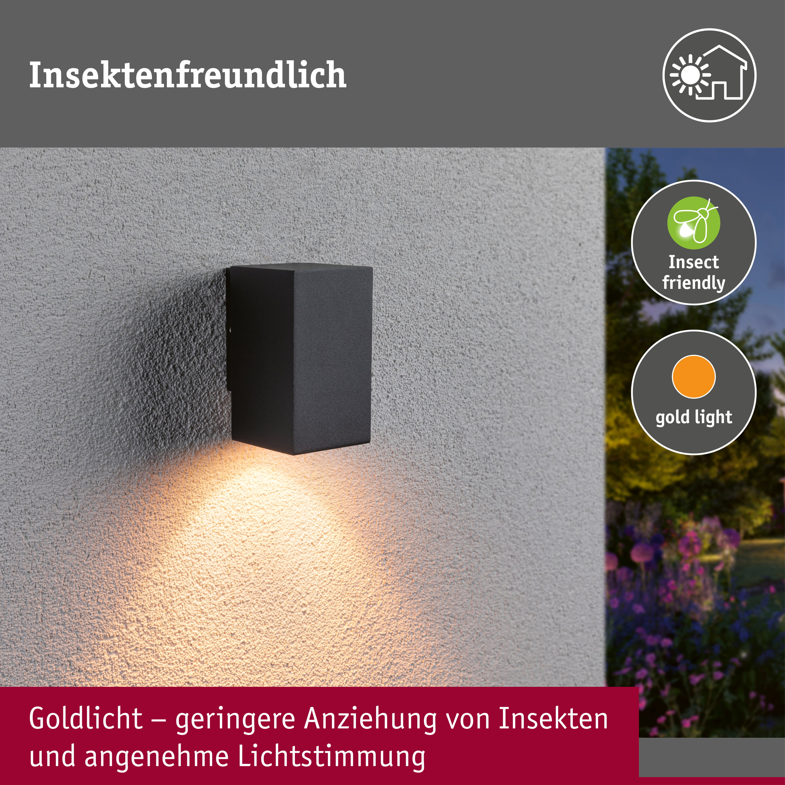 LED Wandleuchte Flame insektenfreundlich IP44 eckig 58x103mm 2200K 4W 265lm 230V 75° Anthrazit Metall