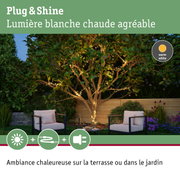 Guirlande LED blanc chaud enroulée autour d'un arbre de jardin pour une ambiance extérieure chaleureuse