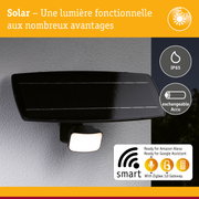 Lumière solaire noire avec protection IP65 et batterie échangeable, contrôle intelligent Zigbee 3.0