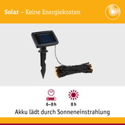 Schwarzes Solarpanel mit LED-Lichterkette und Erdspieß für energiesparende Außenbeleuchtung