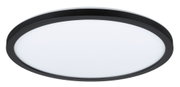 Round LED ceiling light with black frame and white diffuser for modern indoor lighting
