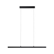 Sort metal LED pendel med slankt design til moderne indendørsbelysning