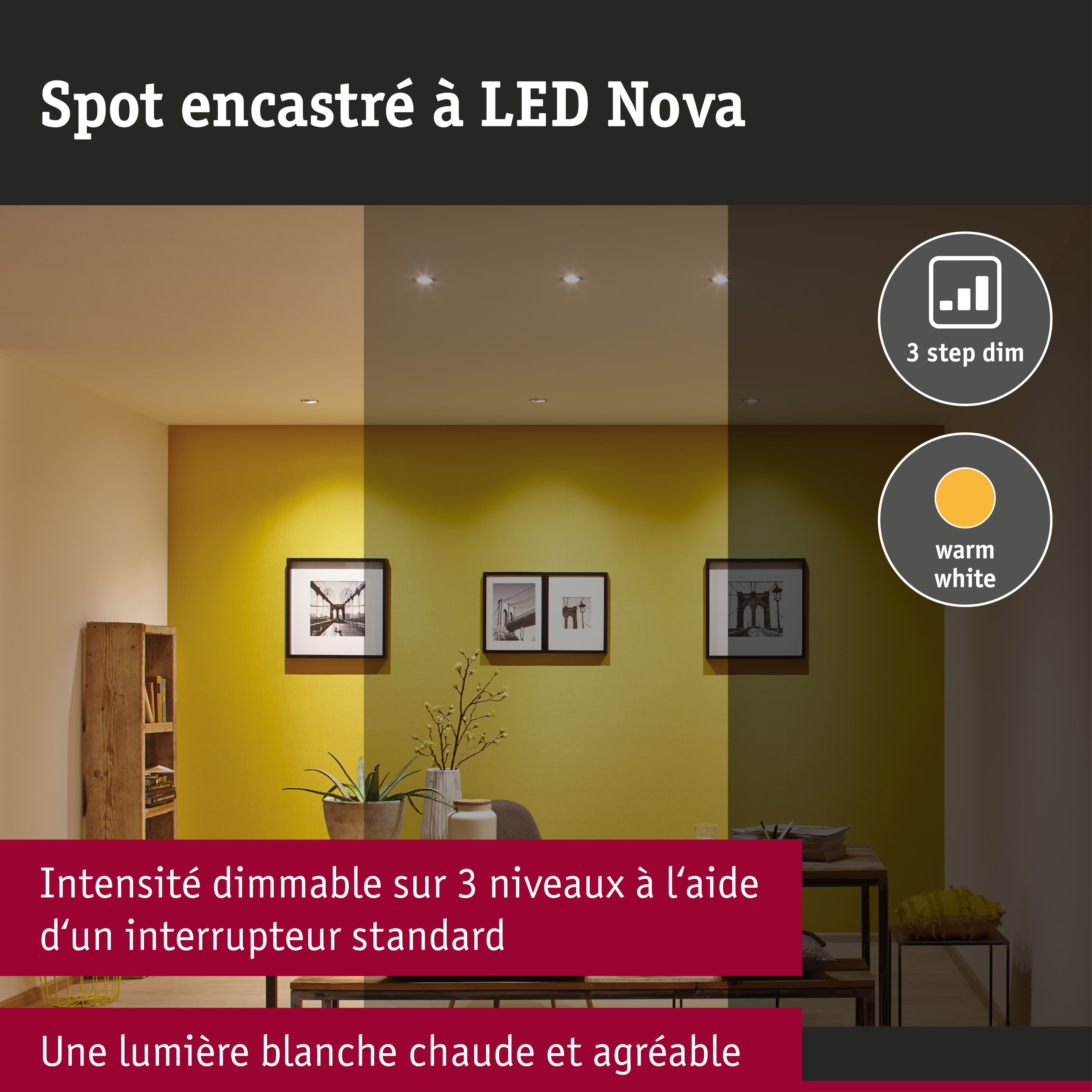 Spot encastré LED 3-Step-Dim Nova Coin fixe IP44 rond 78mm Coin 6W 470lm 230V gradable 2700K Blanc dépoli